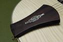 Ibanez Anez AF105 NT